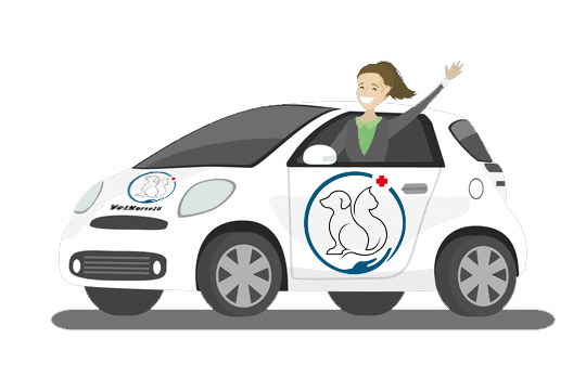 Fremantle Vet Nurse WA Vetnurse Vet Nursing Services