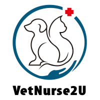 Vet Nurse Fremantle