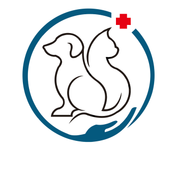 Vet Nurse Fremantle Western Australia Vetnurse Vet Nursing Services